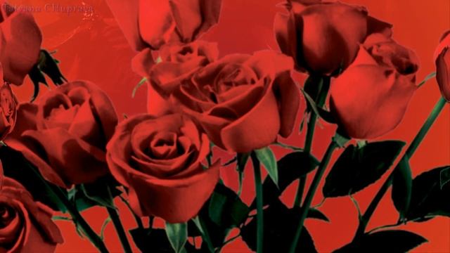 Зрительные Иллюзии 4 |ProShowProducer// 16+