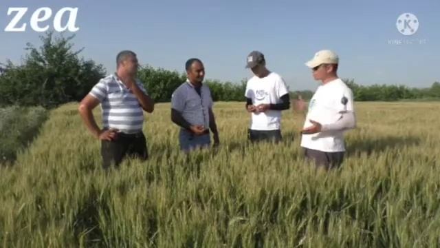 Бугдойнинг NS 40 нави смотреть онлайн