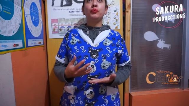 #DATOVETERINARIO #DISTEMPER #MOQUILLO CANINO смотреть онлайн