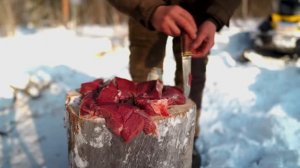 Добыть матерого Волка