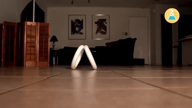 Простая оптическая иллюзия. Первый научный