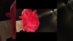 Брошь из органзы.