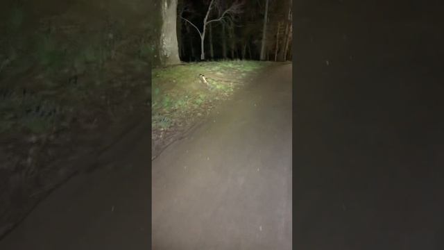 80000 lumen смотреть онлайн