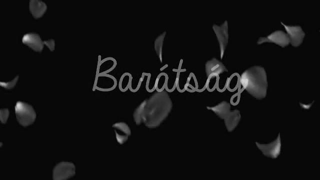 Electronic L0V3 (Zayn Malik Fanfiction) MAGYAR