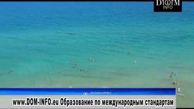 DOM INFO Group смотреть онлайн