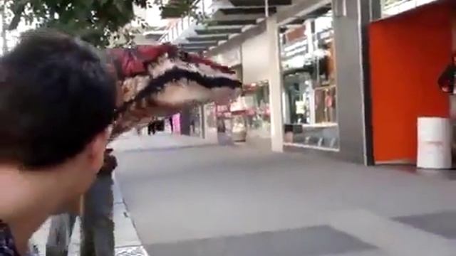 Динозавры Dinosaurs Velociraptor.