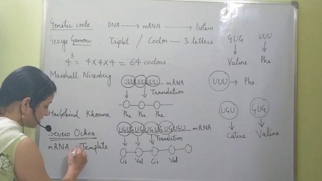 Genetic code | Molecular Basis of Inheritance Chapter-6 смотреть онлайн