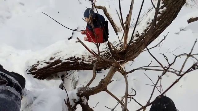 Лёд на реке