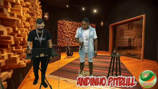 Live Andinho Pitbull смотреть онлайн