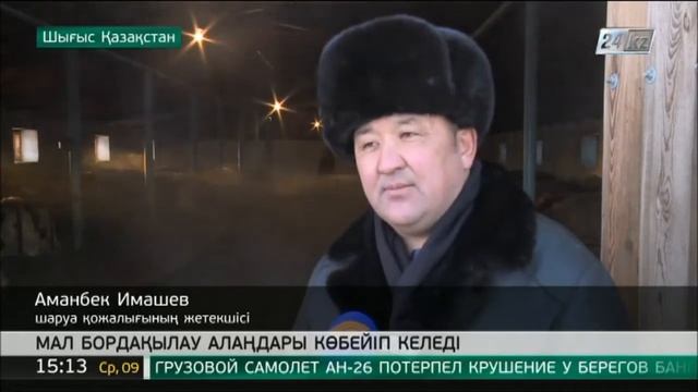 ШҚО-ның Тарбағатай ауданында мал бордақылау алаңдарының саны 8 есеге артқан смотреть онлайн