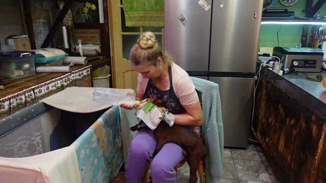 ВЫЛИВАЛА В ПОМОЙКУ ПОКА НЕ ПРИДУМАЛА РЕЦЕПТ ДЕСЕРТНОГО МЯГКОГО СЫРА ИЗ РИКОТТЫ И СЛИВОК🧀✔️ смотреть онлайн