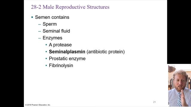 Unit 15 - Human Reproduction: Male Reproductive System смотреть онлайн
