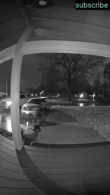 Laugh Out Loud_ Funniest Home Videos Of All Time 😂😂😂 #funny #sorts