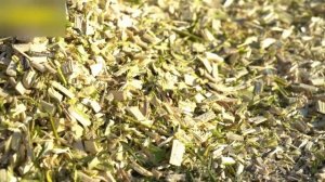 Мощный щепорез DraXter Щ450