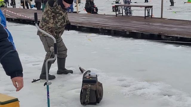 Запуск Спорт 500кг!!!!