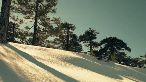 Пророчество старца Виталия о Войне в России