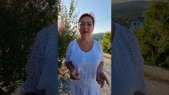 Формула бедности. Ещё один сорняк смотреть онлайн