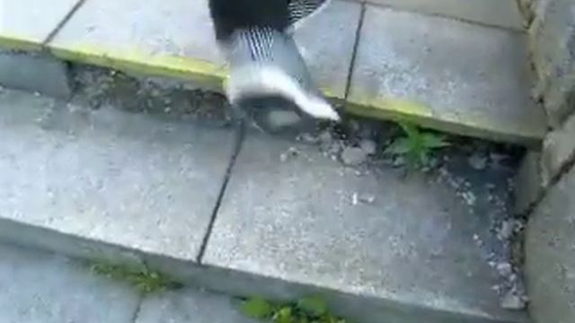 Broke deck смотреть онлайн