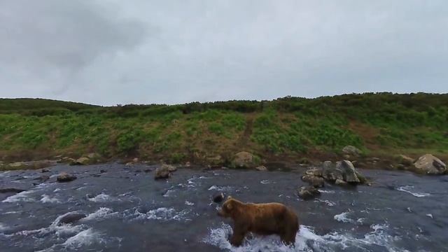 360°, Kambalnaya River. Part II. 4К aerial video смотреть онлайн