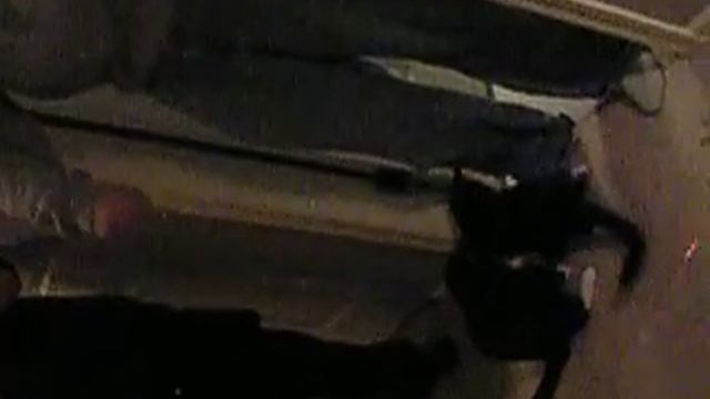 K&P laser pointer climbing Coral смотреть онлайн