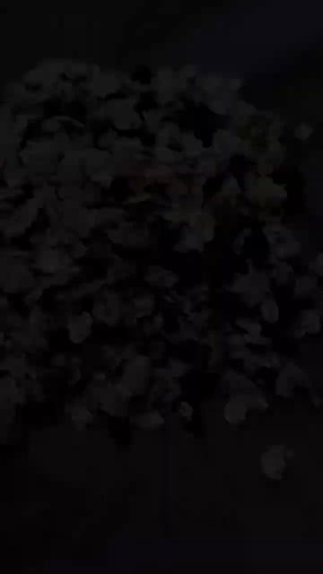 Овсяные батончики смотреть онлайн