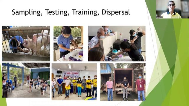 African Swine Fever (ASF): Repopulation Status And Management