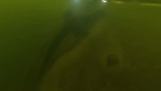 ROV RECREATIONAL DIVE TO OBSERVE OLD WRECK! смотреть онлайн