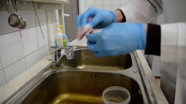 введение в культуру in vitro этап 2 подготовка исходного материала картофеля1 смотреть онлайн