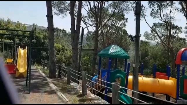 Темный лес 🌳 едем гулять ПОЛТОРА ЧАСА 🥵