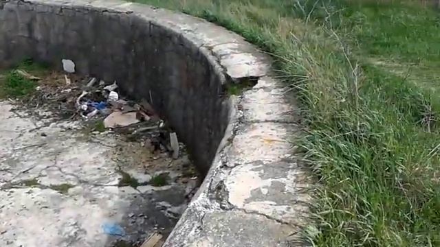 ЗАБРОШКИ / ПЛОДОВОД / ГВАРДЕЙСКОЕ / КРЫМ