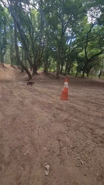 Rc car vs traffic cone 🤣🤣🤣 смотреть онлайн