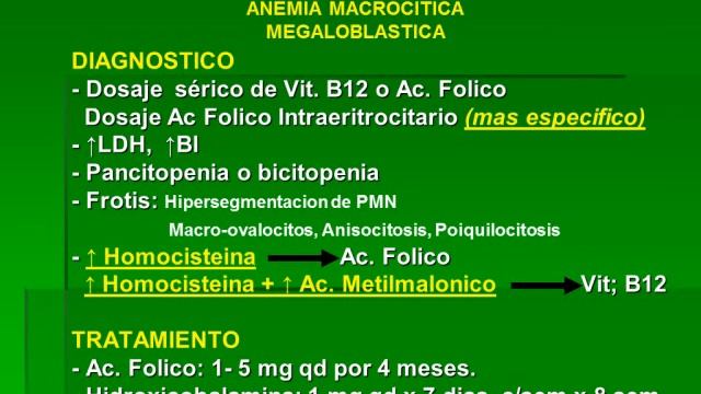 Tmmed hematología - 2 смотреть онлайн