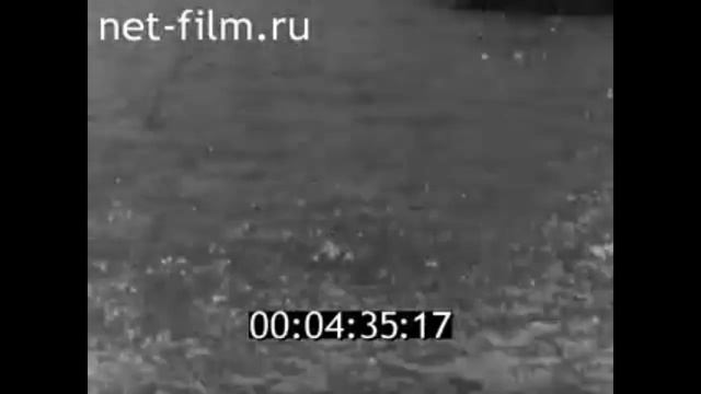 Чайки в степи 1965г смотреть онлайн