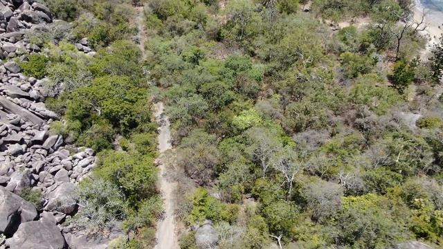 Florence Bay, Magnetic Island - Native Plants Qld смотреть онлайн