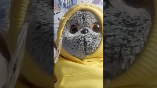 1000006905.mp4 смотреть онлайн