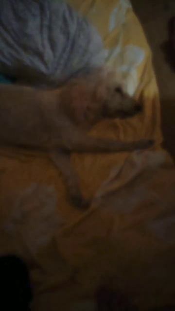 спокойной ночи моя принцесса ♥️♥️♥️💖💖💖 смотреть онлайн