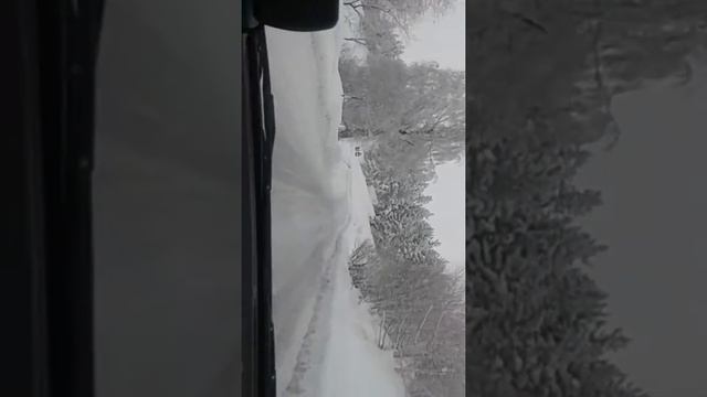 7 января 2017 г.