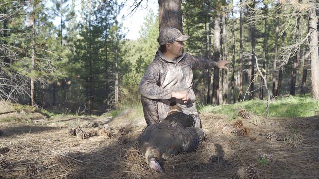 Turkey Hunting Washington State 2020 смотреть онлайн