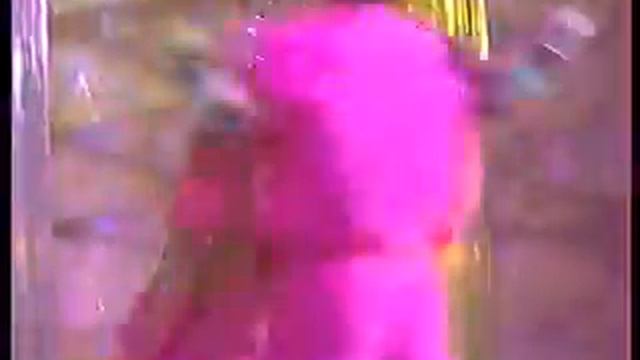 Елена и Алексей Пивовы.avi