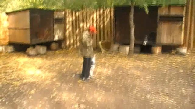 Свободная тема смотреть онлайн