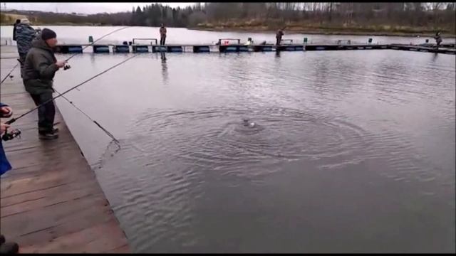 Первый сектор!!!Клевое Место д.Савельево смотреть онлайн