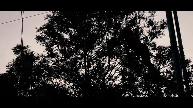 Gorilla Circus Summer 2018! смотреть онлайн