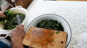 Молодая квашеная крапива. Рецепт.