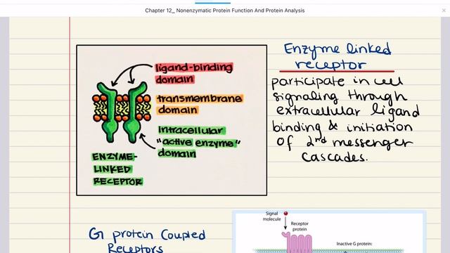Biochemistry MCAT Chapter 12: Nonenzymatic Protein Function And Protein Analysis (1/2)