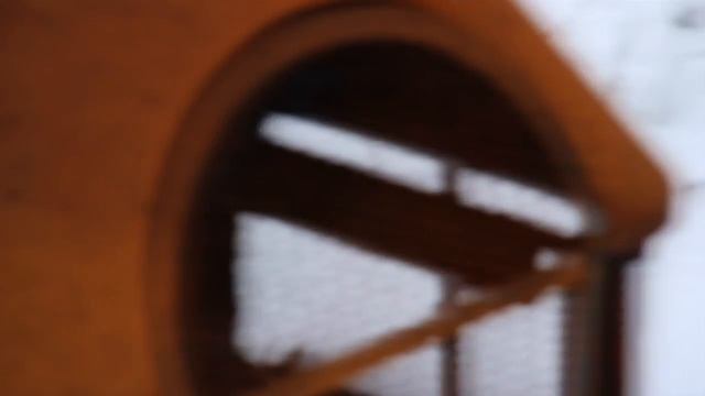 Canon EOS Rebel T3i Review