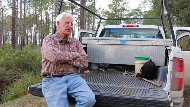 Learn how gators get their names смотреть онлайн