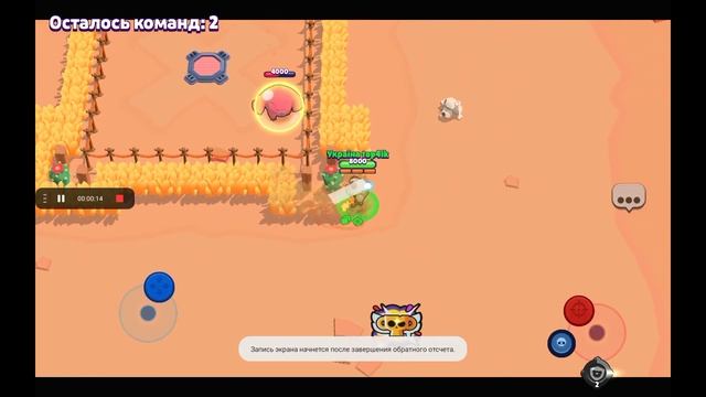 в правом угле стоит шимпанзе а в левом углу стоит куала