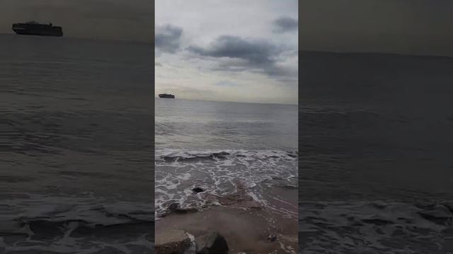 Лягушки,страх и я. смотреть онлайн