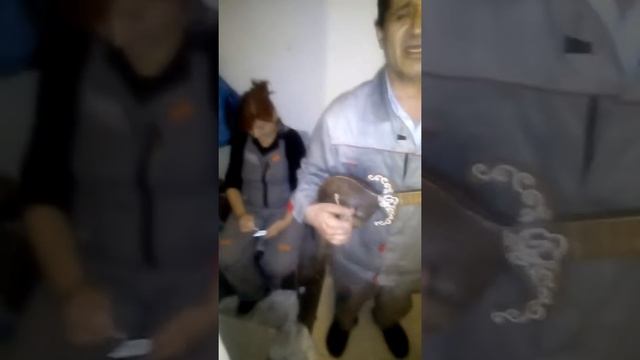 Жошкин Дарио ансамбль смотреть онлайн