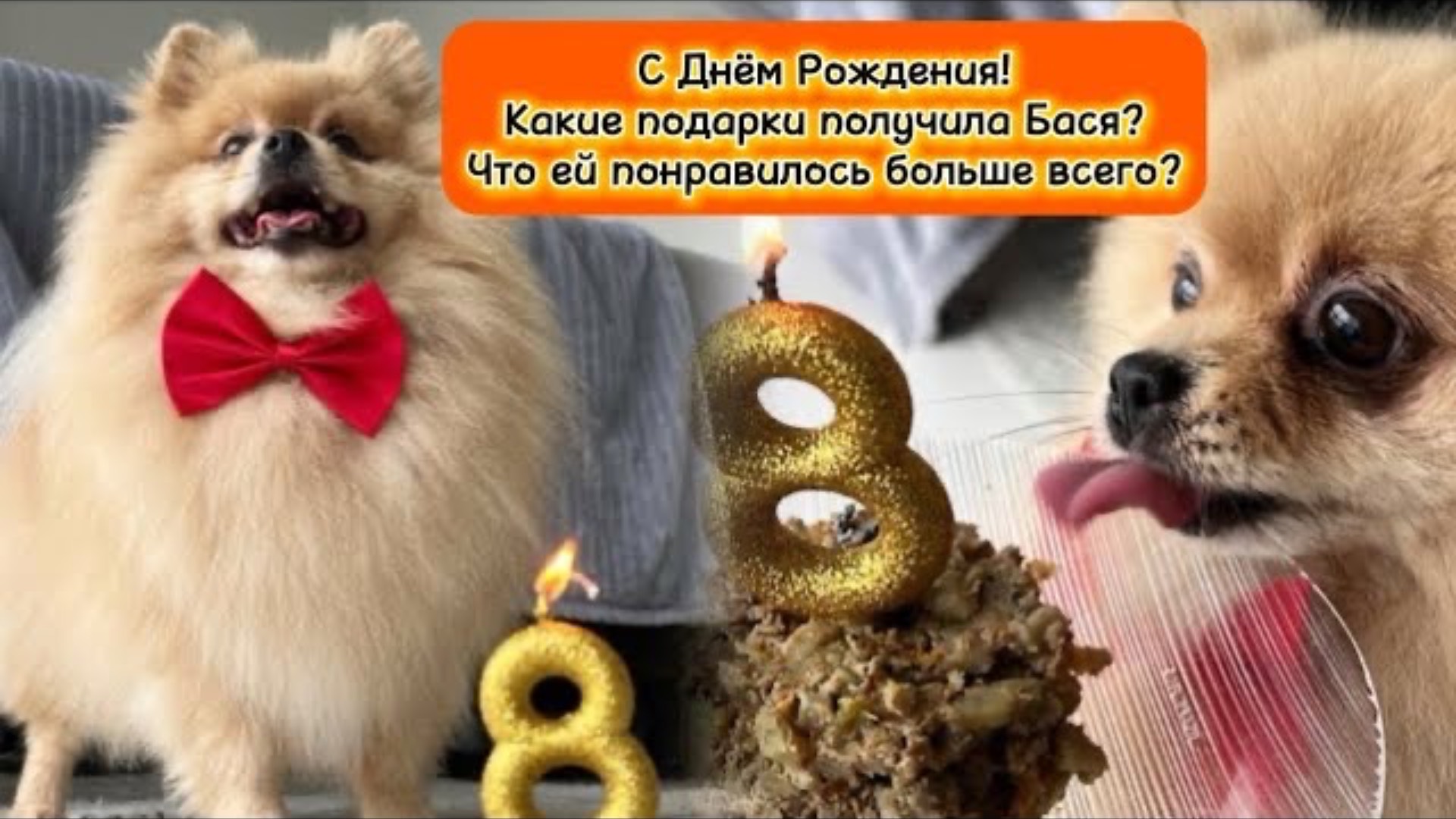 Какие подарки получила Бася и что ей понравилось больше всего? смотреть онлайн